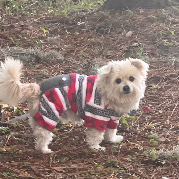 Meet your Posher, Michelle - Picture 13 of 16